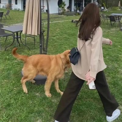 游击飞行中队